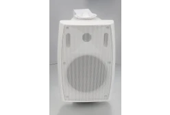 SVS Audiotechnik WS-60 White Громкоговоритель настенный