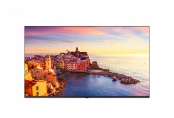 Коммерческий телевизор LG 55