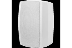 Penton JD40TW Двухполосный корпусной громкоговоритель, 40/20/10 Вт, 70/100В