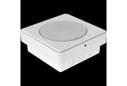 Penton SENTRY6ST/ENC Закрытый настенный антивандальный громкоговоритель 6 дюймов, 6/3/1,5 Вт, 70/100В
