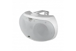 Volta Ellipse-2440TW Настенный громкоговоритель, 40/20/10/5 Вт., 100В/4 Ом, 2x4